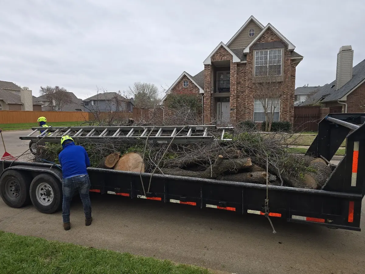 Expert Tree Fertilization with proper safety equipment in Russellville